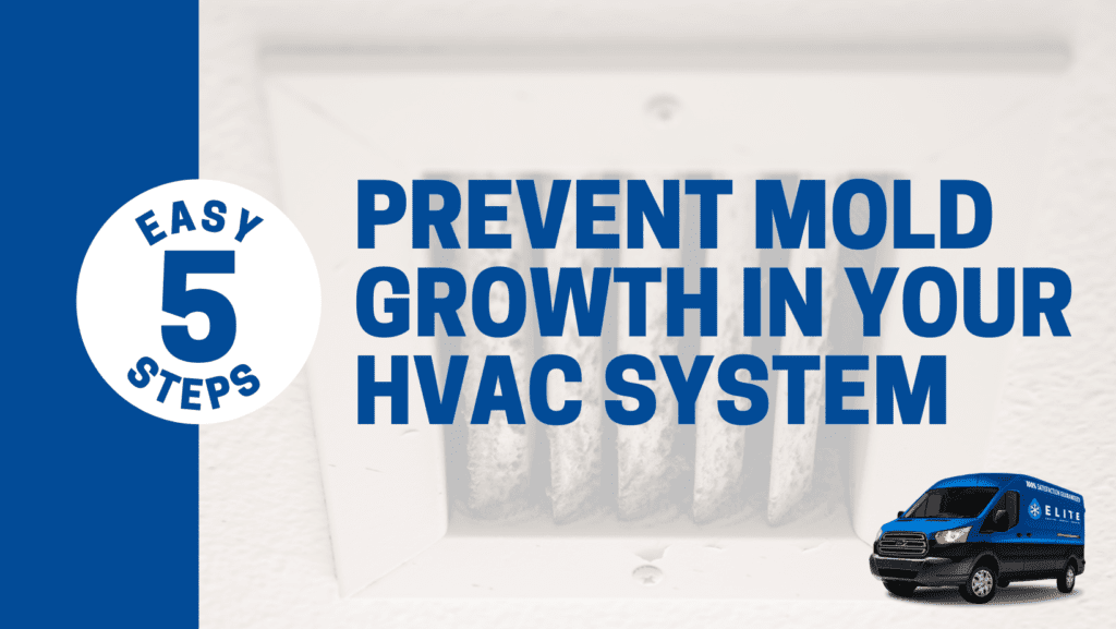 Mold In HVAC How to Prevent Mold Growth in 5 Steps Elite