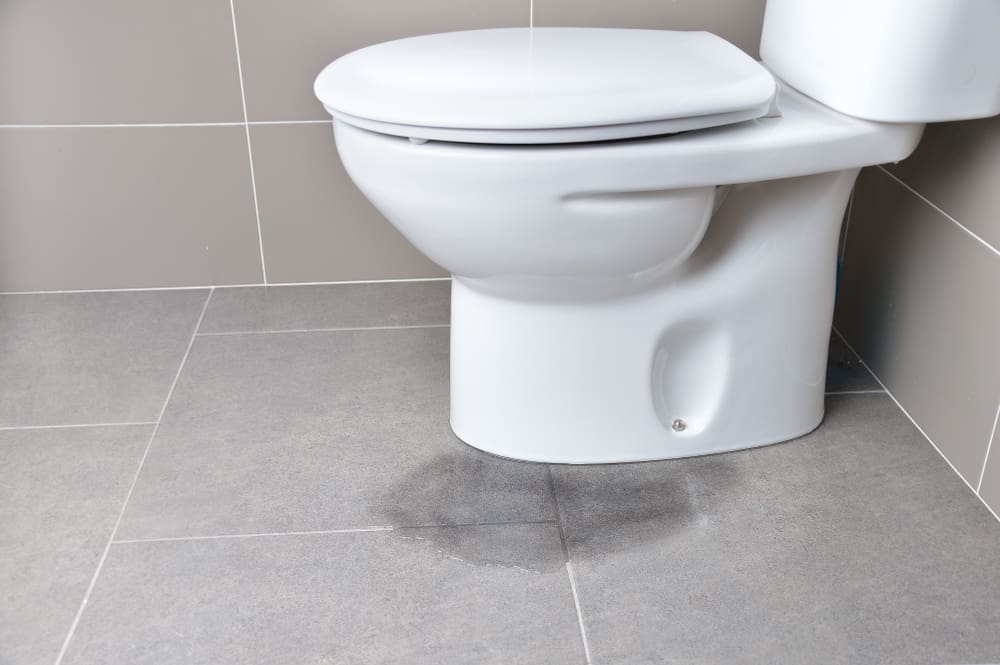 Water Leaking from Toilet
